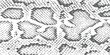 ©  creative  marlia - A detailed abstract monochrome illustration of a snakeskin pattern texture for background use