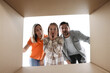 © New Africa - Excited family looking into cardboard box on white background, view from inside package