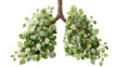 © Sandra - Green plant leaves forming human lungs structure, symbolizing environmental health, nature, fresh air, and breathing clean