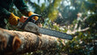 © Jhati - Lumberjack using a chainsaw to cut a large tree log with wood chips flying in sunlight