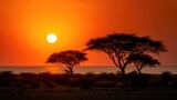 African Savanna Landscape with Acacia Trees Silhouetted Against Dramatic Sunset Sky