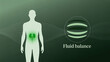 © Sohail - Fluid balance: Visualization of a human silhouette, the kidneys highlighted in a vibrant green hue, coupled with an abstract representation of fluid dynamics.