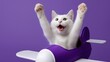 © OleksandrZastrozhnov - Playful white cat in purple toy plane with excited expression on purple background