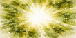© NUR 0.2 - An abstract nature wallpaper featuring a bright sun shining through green trees with a star burst flash and glowing light texture design on a vector art backdrop