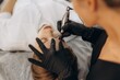 © Roman - Beautician tattooing eyebrows on client face in salon