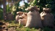© mehaniq41 - Burlap sacks filled with coffee beans rest on forest floor. Soft sunlight filters through vibrant foliage, highlighting textures. Tranquil, earthy atmosphere. Neural network AI generated