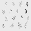 © Natalia - Minimalist hand drawn botanical branch set in black line style. Simple plant and leaf elements isolated on transparent background for branding, packaging, stationery and web design.