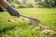 © Stitch - Gardener using a rake to work on grass in a backyard during daylight