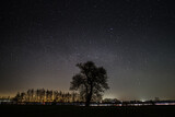 Rozgwieżdżone nocne niebo z widoczną Drogą Mleczną nad wiejskim krajobrazem, z wyraźną sylwetką samotnego drzewa na tle świateł horyzontu.