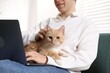 © New Africa - Smiling man with his cute cat using laptop on sofa at home, closeup