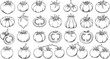 © pixsource - Detailed black and white line art collection of various tomato types and shapes, hand-drawn vector illustrations for food, farm, and healthy lifestyle designs.
