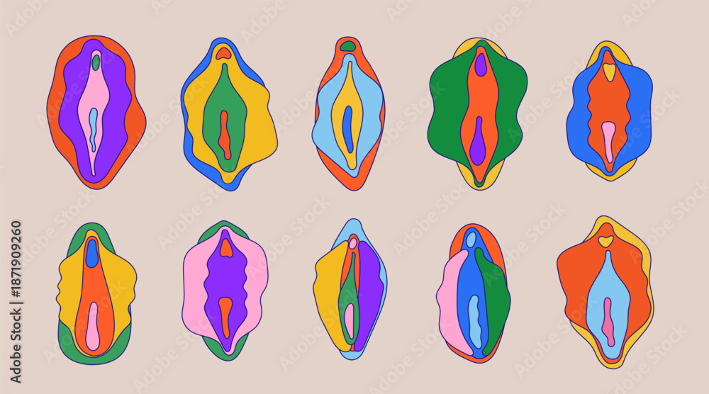 Female Reproductive System Set Anatomical Vulva Vagina Diagrams In A Female Reproductive System Set Anatomical Vulva Vagina Diagrams In A
