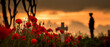 © Nan - AI generator images of red poppy (Remembrance Poppy) is an internationally recognized symbol used to commemorate soldiers who sacrificed their lives in war, especially on Remembrance Day. It signifies