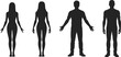 © MDBENJIR - Silhouettes of two women and two men standing with arms outstretched and at sides people