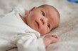 © sementsova321 - Newborn baby rests on a soft blanket, gazing with curiosity in a warm indoor space with natural light coming through a window