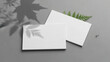 © Liton Khan - Minimalist Open Notebook with Green Fern on Gray Textured Background 5x7 Inches