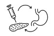 © Andrei - Understanding the process of insulin delivery from the pancreas to the stomach in human digestion and metabolism
