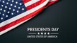 © Stocker Man - Presidents day in the united states of america