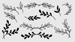 © Khulqi - Leaves Divider Line Art and Silhouette Bundle Botanical Hand Drawn Set.Vector Illustration