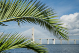 Palm frond across sky over Vasco da Gama Bridge