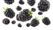 © Zamil - A collection of blackberries on a white backgroundThe image shows a variety of blackberries of different sizes scattered on a plain white background. Some of the blackberries have green leaves still