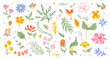 © Oksana Kabanchuk - Simple colorful botanical flowers and leaves.    Spring graphic design doodle elements. Hand drawn modern nature shapes. Wildflowers and garden plant flat style.