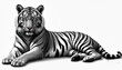 © Viktor - Black and white illustration of tiger lying down. Big cat rests on white background. Powerful animal with stripes looking at viewer. Digital art concept for prints.