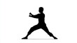 © Ps_Studio21 - Silhouette martial art power stance strong posture balance training athlete combat discipline focus action practice defense exercise fitness