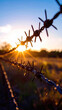 © Seckin Ozturk - Wire Fence with Sunlight Breaking Through