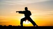 © Habibur - Martial artist in powerful stance against vibrant sunset sky with urban horizon during evening training session