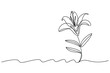 © Kumail - A simple line drawing of a flower growing in the ground