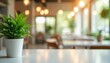 © Vadym - Green potted plant rests on a white table. Blurred cafe interior with warm lights and soft focus background offers serene ambiance. Modern minimalist decor.