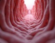 © Pete - Detailed 3D render illustration of human small intestine microvilli. View shows inner surface lining with many folds. Structures vital for nutrient absorption. Concept for gut health, digestion,
