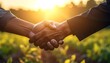 © SEH - Business Partnership Handshake at Sunset - Collaboration and Success.
