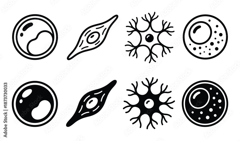 Cell type vector illustration shows cell structure diagrams of four ...