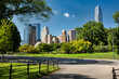 © Cavan Images - New York City Manhattan skyline view from Central Park in summer