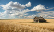 © AI   NEX GEN - Abandoned farm house in a golden wheat field under a cloudy sky