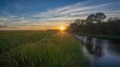 © AkuAku - Marshlands at sunset in the delta, highlighting natural erosion risk during evening hours for environmental preservation