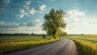 © NFTNexus - Rural American highway scene with open fields, suitable for editorial header backgrounds, Earth Day