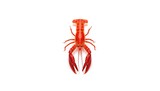Live crayfish on a white backdrop, illustrating aquatic crustaceans for culinary use, World Oceans Day