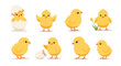 © Daniel - Collection of cute yellow baby chicks in various poses including hatching from an egg and standing by a flower, adorable spring clip art.