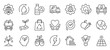 © Iconjam - green marketing outline icon pack collection of green, market, business, growth, ecology, sustainable, design, marketing, natural, food icon