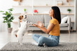 © Prostock-studio - Young pretty asian woman enjoying ball games with her cute fluffy jack russel terrier puppy, owner sitting on floor and throwing dog pet toy, side view, copy space. Playing with dog concept