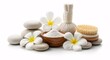© topan - Spa wellness still life with flowers stones and treatment elements