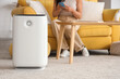 © Pixel-Shot - Woman adjusting air purifier using mobile phone on sofa at home
