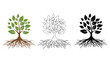 © Munir - Three tree illustrations with roots and leaves in different colors and styles