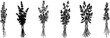 © smth.design - set of six different tied fresh herb bunches silhouettes in black and white