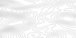 © Hasan - Seamless abstract contour map pattern with black and white flowing lines, representing geographic elevation, liquid terrain motion, and wood grain textures in modern minimalist vector design.