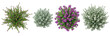 © yendisupiandi - Top View Of Four Different Shrubs Isolated On White Background