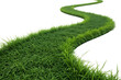 © Rabiul - A lush winding grass path curving into the distance on an isolated black background isolated on transparent background